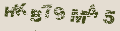 Image: you will need to recognize the text in it.